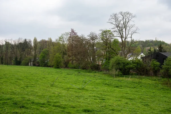 Avijl Platosu Ndaki Yeşil Alanlar Ağaçlar Bölge Parkı Uccle Brüksel — Stok fotoğraf
