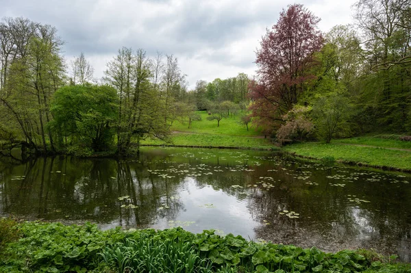 Yeşil Ekili Ağaçlı Göletler Watermael Boitsfort Brüksel Belçika — Stok fotoğraf