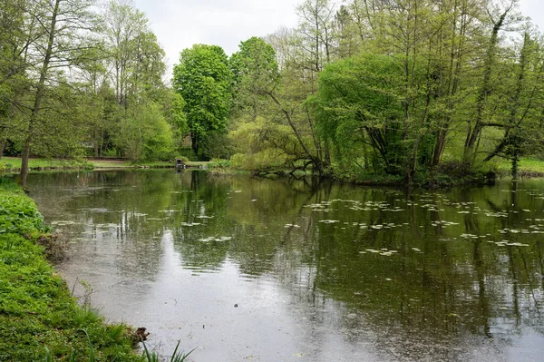 Ponds of the city with green plantation and trees, Watermael-Boitsfort, Brussels, Belgium