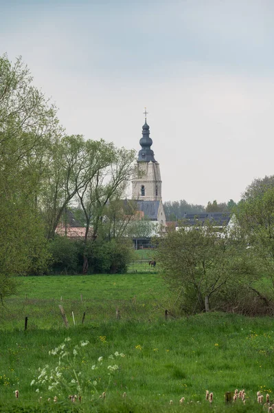 比利时东佛兰德 登德蒙德 树木和市政厅塔楼背景 — 图库照片