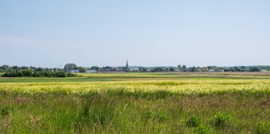 Kampenhout, Brabant, Belçika çevresindeki çayırlarda panoramik manzara
