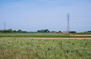 Belçika, Boutersem civarındaki Flaman kırsalında tarım arazileri ve çayırlar