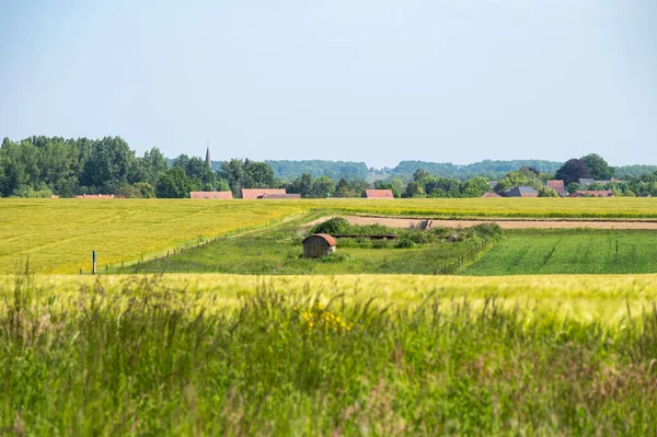 Landwirtschaftliche Felder Mit Dem Dorf Hintergrund Der Flämischen Landschaft Kampenhout — Stockfoto