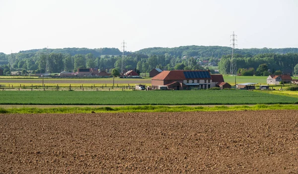 クムティッチ ティエン ベルギー周辺のフランダース地方の茶色の土壌と緑の農業地帯 — ストック写真