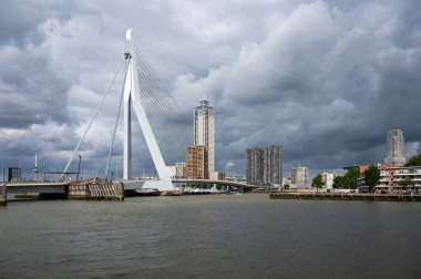 Rotterdam, Güney Hollanda, Hollanda, 3 Temmuz 2023 - Nieuwe Maas nehri ve Erasmus köprüsü