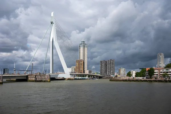 荷兰鹿特丹 南荷兰 2023年7月3日 Nieuwe Maas河和Erasmus桥 背景是办公楼摩天大楼 — 图库照片
