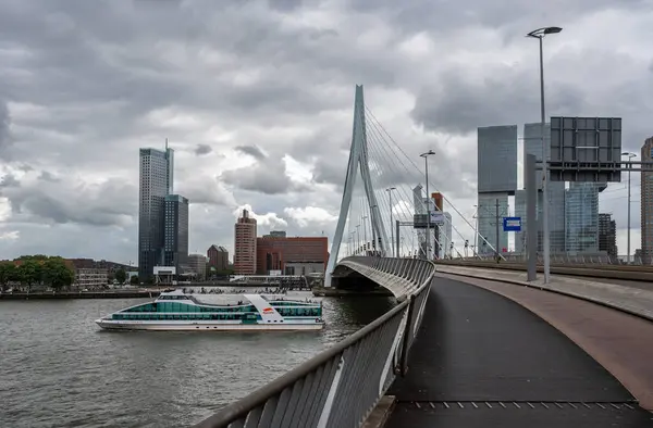 荷兰鹿特丹 南荷兰 2023年7月3日 以商业大厦为背景的Erasmus桥自行车道 — 图库照片