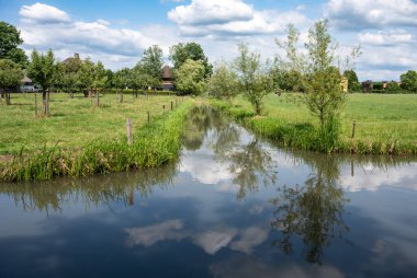 Langbroek, Utrecht, Hollanda çevresindeki bir derenin suyuna yansıyan ağaçlar.