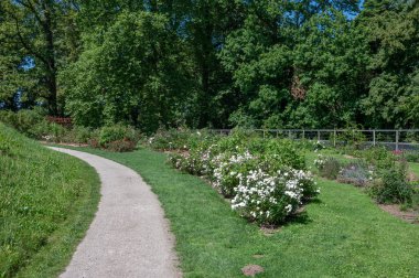 Yürüyen patikaları, çiçekleri ve ağaçları olan Botanik Ulusal Bahçesi Meise, Flaman Brabant, Belçika