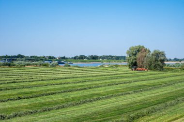 Waal, Millingen aan de Rijn, Hollanda 'nın yeşil kıyılarında çim biçtim.