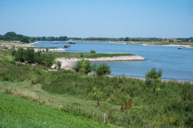 Millingerwaard, Gelderland, Hollanda çevresindeki Waal nehrinin kıyısında yeşil lekeler.