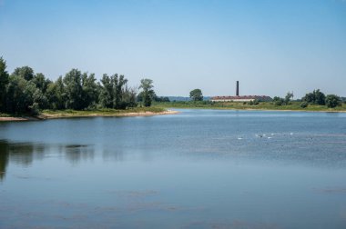 Nehir üzerindeki manzara manzarası ve doğal çevre, Millingen aan de Rijn, Gelderland, Hollanda