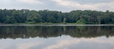 Sakin sulara yansıyan ağaçlar, Velden, Limburg, Hollanda