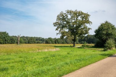 Beringen, Limburg, Belçika 'daki kömür madeninin yeşil parkında yürüyorum.