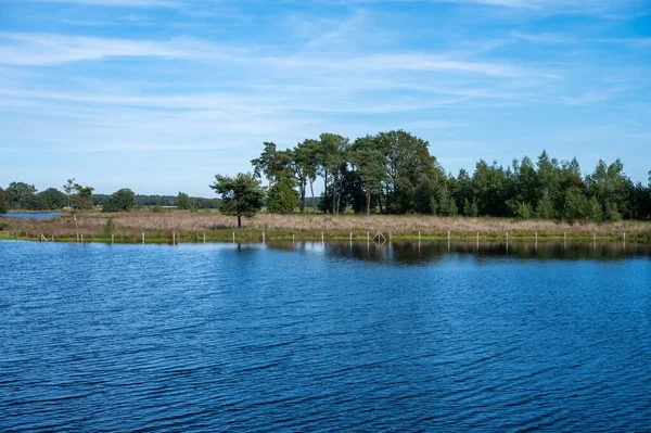 アントワープ州 ベルギーのターンなし周辺の水池とフェンヌの自然保護区の上の高角度ビュー — ストック写真