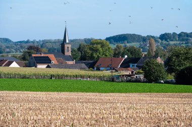 Tarım alanları, arka planda Waarbeke köyü ile kısmen hasat edilmiş, Doğu Flaman Bölgesi, Belçika