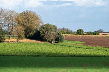 Flaman kırsalındaki renkli tarım alanları ve tepeler Serbest bırak, Göt, Belçika