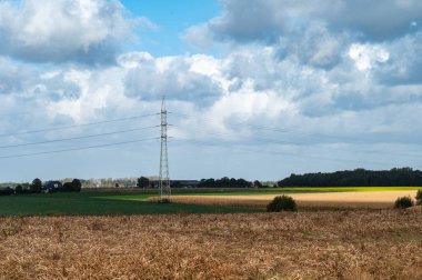 Ossel, Flaman Brabant, Belçika çevresindeki Flaman kırsalında altın buğday tarlaları ve yüksek voltaj direği
