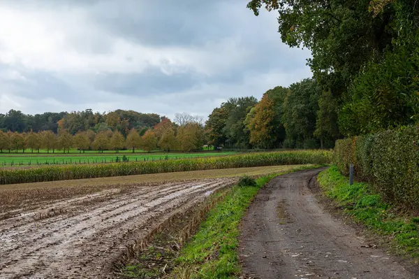Harvested agriculture field and dirty walking path at the Pajottenland, Lennik, Belgium