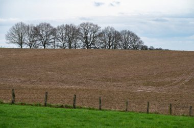 Bertem çevresindeki Flaman kırsalında yeşil doğal çayırlar ve kahverengi tarım arazisi toprağı, Flaman Brabant, Belçika
