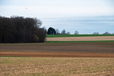 Herent, Flaman Brabant, Belçika çevresindeki Flaman kırsalında buğday tarlaları ve çayırlar hasat edildi.