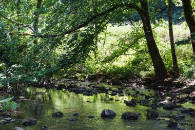 Kordel, Rhineland-Palatinate - Almanya Kylltal 'daki Kyll Deresi üzerindeki Idyllic manzara