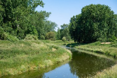 Hingene, Antwerp Eyaleti, Belçika çevresindeki yeşil çayırlar boyunca Vliet Deresi.
