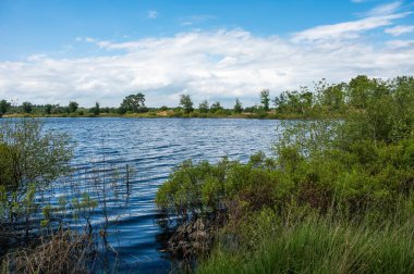 Groote Hiede Doğa Koruma Alanı, Valkenswaard, Kuzey Brabant, Hollanda 'daki doğal gölet ve yeşil funda manzarası