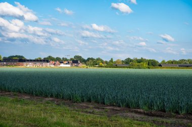 Beek en Donk, Kuzey Brabant, Hollanda çevresindeki Hollanda kırsalında yeşil ışınlar ve çiftçi evleri