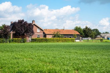 Mill, Kuzey Brabant, Hollanda çevresindeki Hollanda kırsalındaki tipik yeşil tarım arazisi ve çiftlik evi