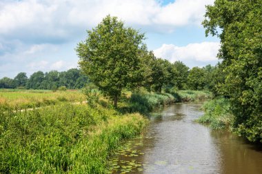 Lage Raam deresinin yeşil manzaralı doğal çevresi, Mill, Kuzey Brabant, Hollanda