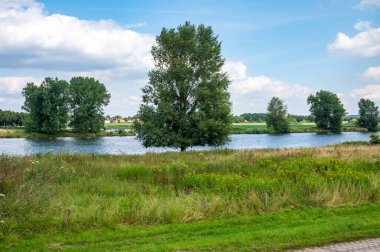 Linden, Kuzey Brabant, Hollanda çevresindeki Maas nehrinin yeşil kıyıları