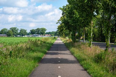 Venhorst, Kuzey Brabant, Hollanda, 11 Temmuz 2024 - Hollanda kırsal kesimindeki tarımsal alanlarda düz çifte bisiklet yolu