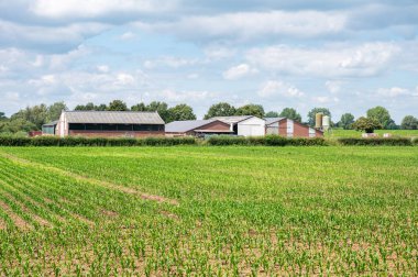 Linden, Gelderland, Hollanda, 11 Temmuz 2024 - Biyolojik kütle elektrik santrali ve çiftliğinde yetiştirilmiş mısır tarlaları