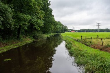 Poelsbeek deresi Markelo, Overijssel, Hollanda çevresindeki yeşil sulak alanlardan geçiyor.