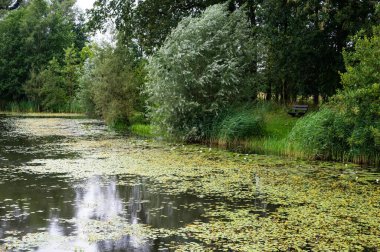 The Boinksweide natural pond and green surroundings around Diepenheim, Overijssel, The Netherlands clipart