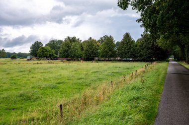 Hollanda 'nın Rossum, Overijssel, Hollanda çevresindeki kırsal bölgelerinde yağmurlu bir günde yeşil tarım alanları