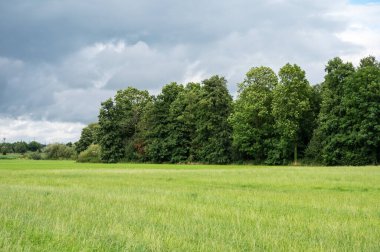 Neuenhaus, Niedersachsen, Almanya çevresindeki Alman kırsalında ağaçlar ve yeşil çayırlar