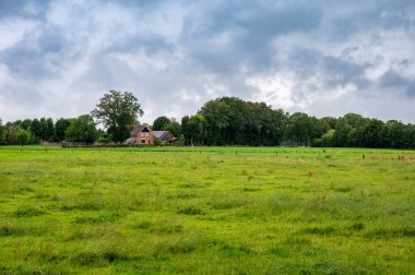 Hollanda 'nın Rossum, Overijssel, Hollanda çevresindeki kırsal bölgelerinde yağmurlu bir günde yeşil tarım alanları