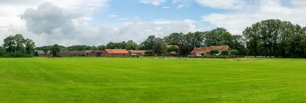 Stock image Green meadows and countryhouses at the Dutch border around Neuenhaus, Niederschsen, Germany,