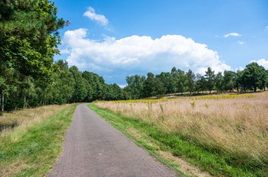 Geeste-Dalum, Aşağı Saksonya, Almanya çevresindeki çayırlardan geçen asfalt köy yolu.