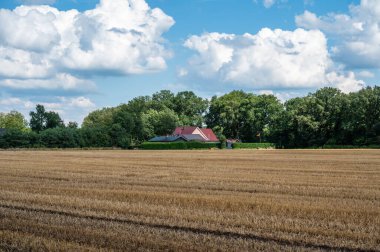 Herzlake, Aşağı Saksonya, Almanya çevresindeki Alman kırsalında altın hasat edilen buğday tarlaları