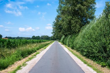 Osterwald, Aşağı Saksonya, Almanya yakınlarındaki Geman kırsalında boş asfalt yol
