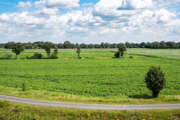 stock image Green agriculture field and trees at the German countryside around Dalum, Lower Saxony, Germany