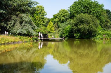 Hamburg, Almanya, 19 Temmuz 2024 - Üniversite botanik bahçesinin su birikintisindeki doğal yansıma