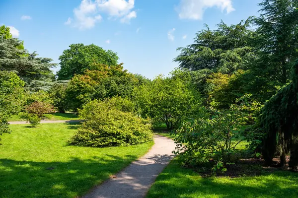 stock image Pathway trhough the University botanical garden, the Loki Schmidt Garten in Altona Hamburg, Germany