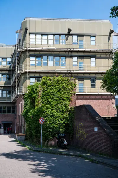 stock image Hamburg, Germany, July 19, 2024 - The science and botanical department of the university of Hamburg