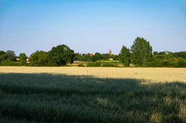 Dahme, Holstein, Almanya çevresindeki deniz kenarında buğday tarlalarıyla tarım