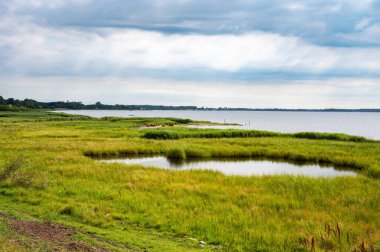 Tappernoje, Seeland, Danimarka çevresindeki doğal gölet ve sulak alanlar