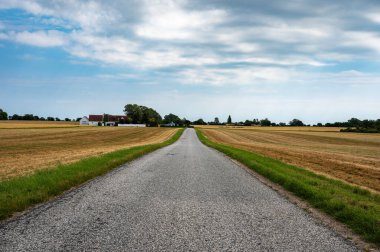 Sahte Ladeplads, Seeland, Danimarka 'daki altın buğday tarlalarından geçen asfalt yol